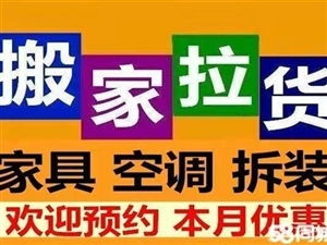中牟家政服务大全 专业、便捷，打造舒适生活空间
